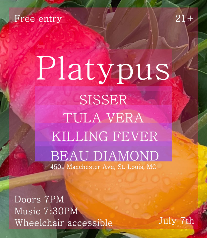 Tula Vera (New York) + Sisser, Killing Fever, Beau Diamond at Platypus in St. Louis, MO on 7/7/2023